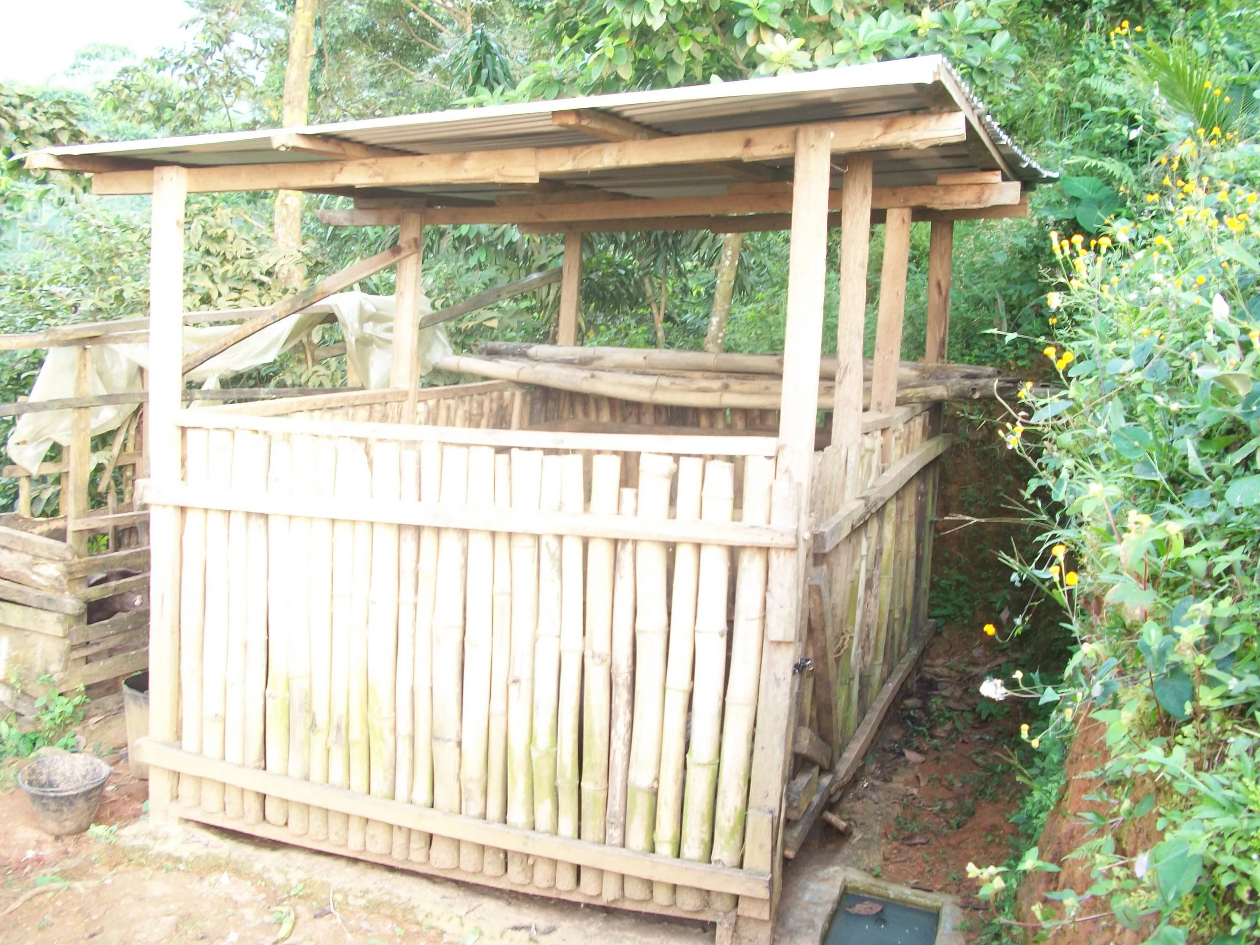 A newly built pig sty of bamboo and timber with a corrugated metal roof, surrounded by dense green vegetation
