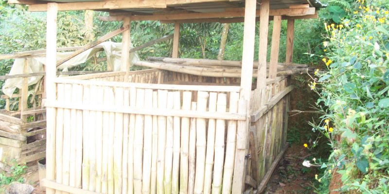 pig sty constructed last year